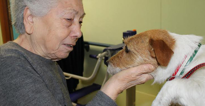 Pet Therapy - Casa del Sorriso